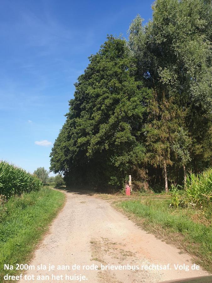 Eden Villa Sint-Pauwels Luaran gambar